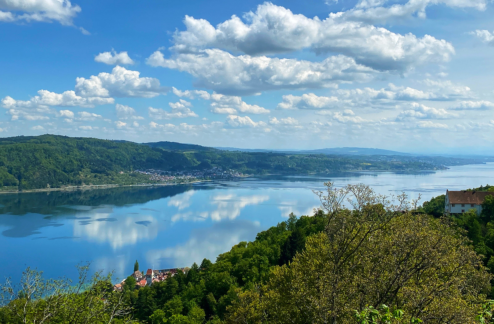 Blick auf den Bodensee von der Ruine Hohenbodman